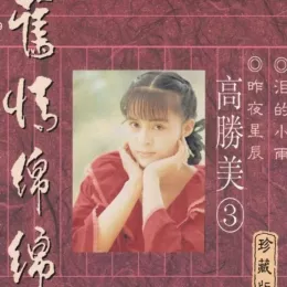 昨夜星辰 歌词 - 高胜美