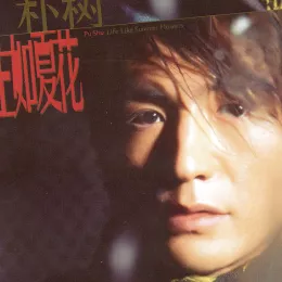 且听风吟 歌词 - 朴树