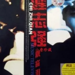 十不该歌词 - 迟志强