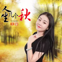 人生几个秋 歌词 - 王馨