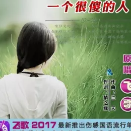  一个很傻的人 歌词 - 飞歌
