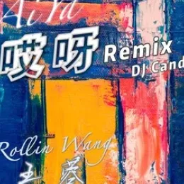 哎呀 歌词 - 王蓉