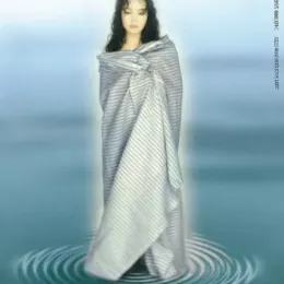 俩俩相忘 歌词 - 辛晓琪