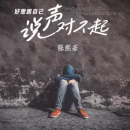  好想跟自己说声对不起 歌词 - 婷儿