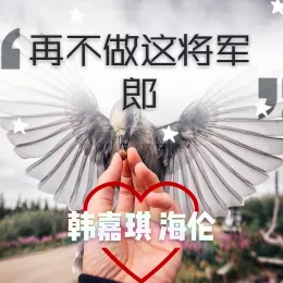 再不做这将军郎