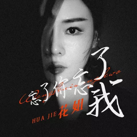 忘了你,忘了我 歌词 - 花姐