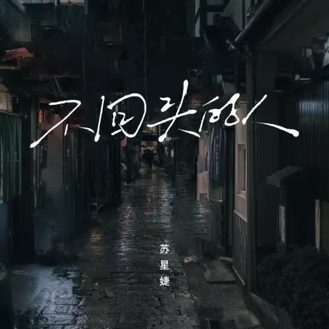不回头的人歌词 - 苏星婕