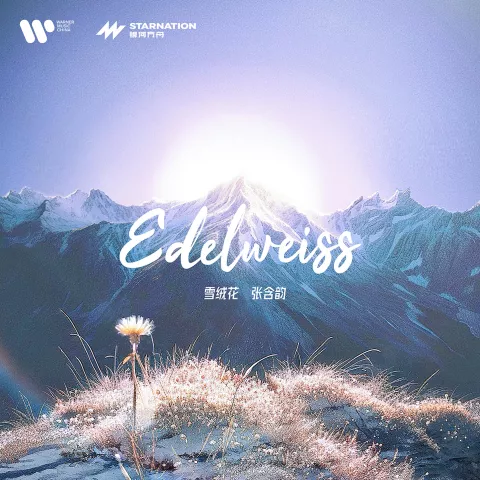 雪绒花歌词 - 张含韵