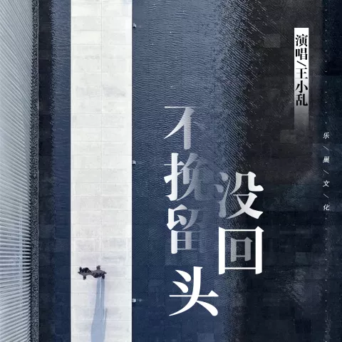 不挽留没回头 歌词 - 王小乱