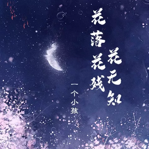 花落花残花无知 歌词 - 一个小孩