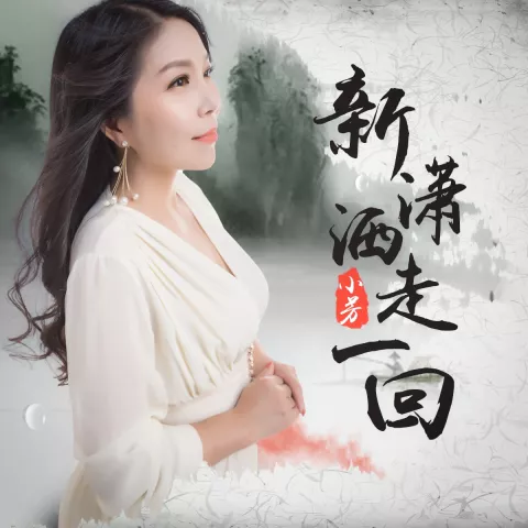 新潇洒走一回 歌词 - 小芳