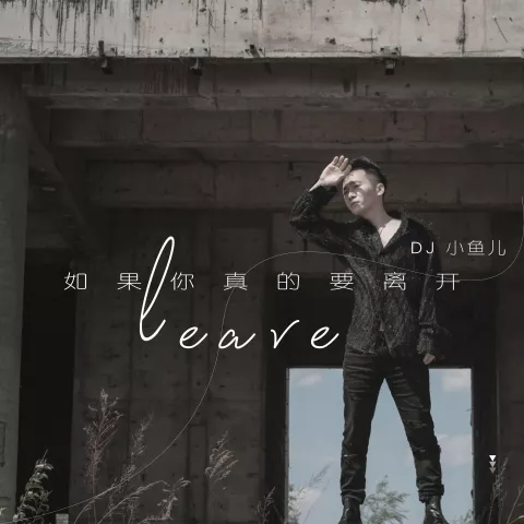 如果你真的要离开 歌词 - DJ小鱼儿