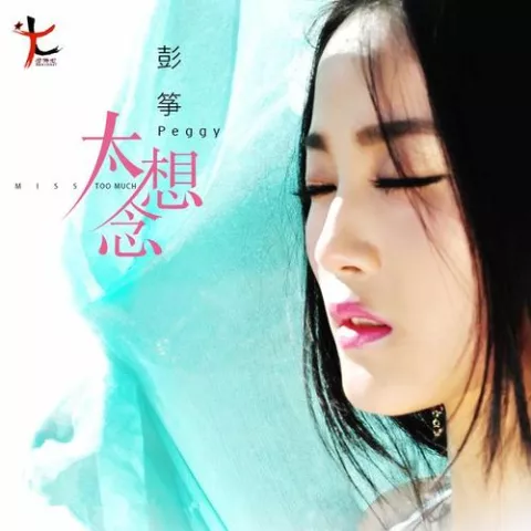 太想念歌词 - 彭筝