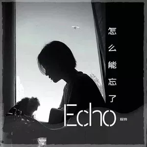 怎么能忘了 歌词 - 程响 (不插电版)