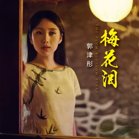 梅花泪歌词 - 郭津彤