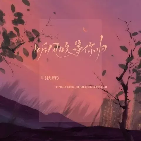  听风吹等你归 歌词 - L（桃籽）