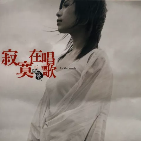 寂寞在唱歌 歌词 - 阿桑