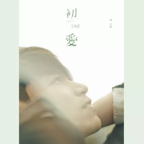 其实都没有 歌词 - 杨宗纬
