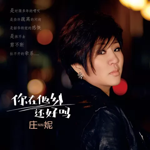 你在他乡还好吗 歌词 - 庄妮/李进