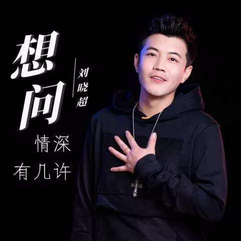 想问情深有几许 歌词 - 刘晓超