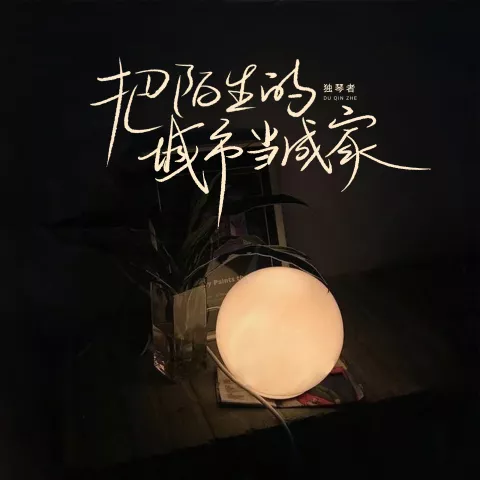 把陌生的城市当成家 歌词 - 独琴者