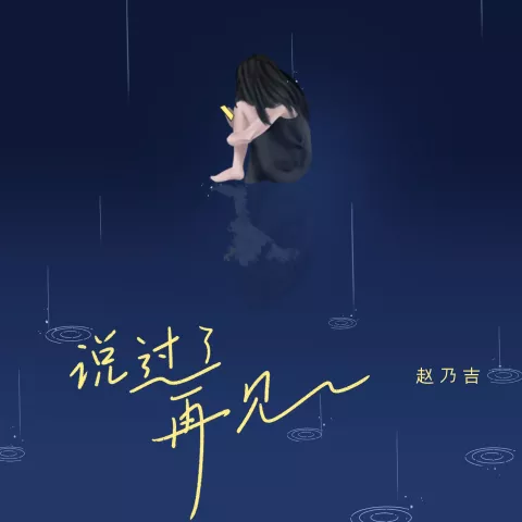 说过了再见 歌词 - 赵乃吉