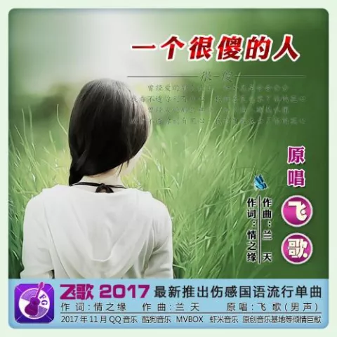 一个很傻的人 歌词 - 飞歌