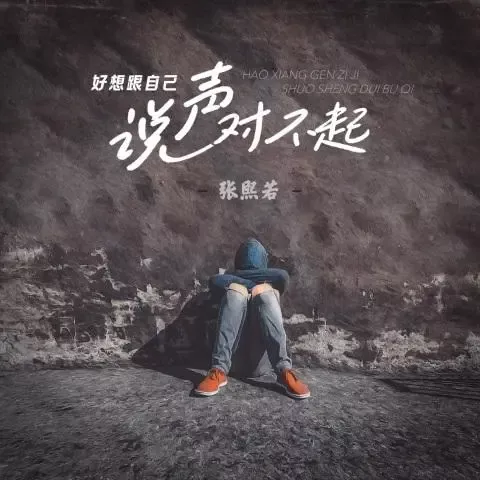 好想跟自己说声对不起 歌词 - 婷儿