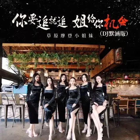 你要追就追姐给你机会 歌词 - 草原摩登小姐妹