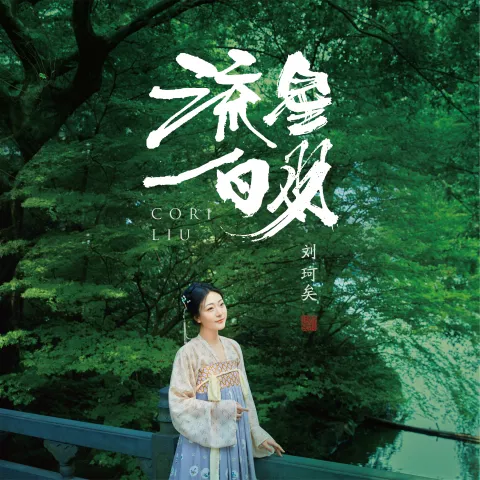 流星白羽 歌词 - 刘珂矣