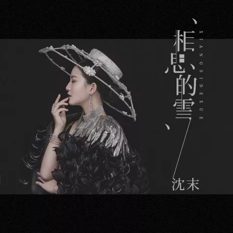 相思的雪 歌词 - 沈末