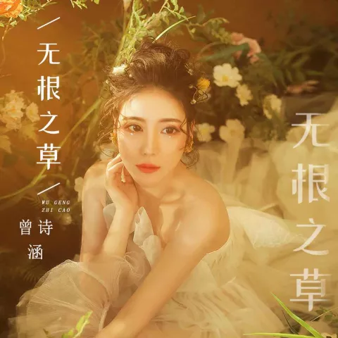 无根之草 歌词 - 曾诗涵