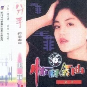 分手 歌词 - 王菲