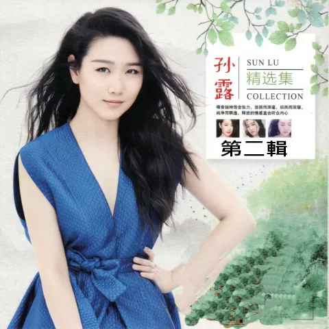 小小新娘花 歌词 - 孙露/云菲菲