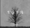 生而平凡 歌词 - 王富贵