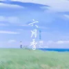 六月季歌词 - 阿冗