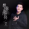  想你的话告诉月亮 歌词 - 刘晓超