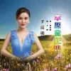 草原花正开 歌词 - 罗丽珊