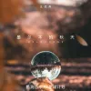  墨尔本的秋天 歌词 - 王优秀